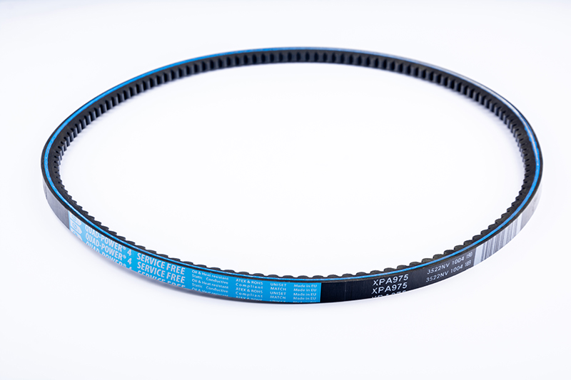 Kaiš GF mašine za sakupljanje lešnika