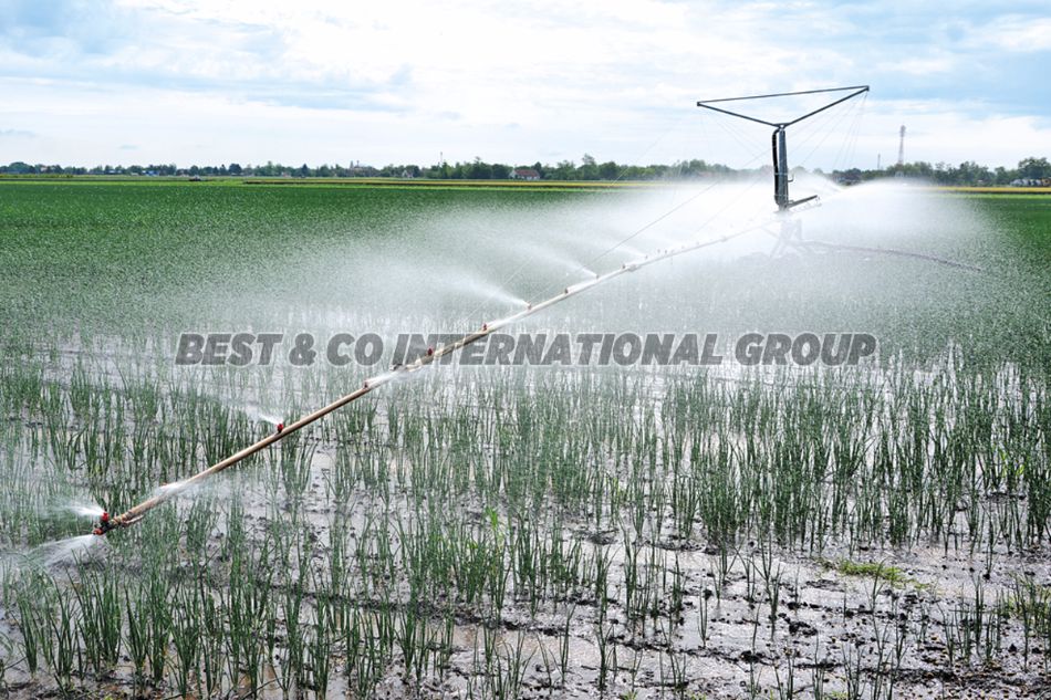 Kišna rampa za navodnjavanje ALA 44/50 standardna kolica