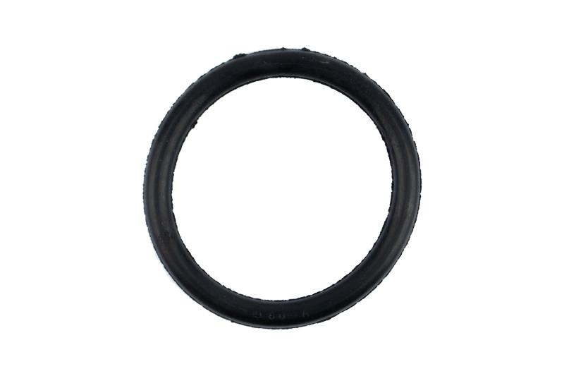 Oring D.60 za Ocmis Kišne Rampe